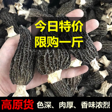 云南羊肚菌干货野生250g短柄羊肚菇蘑菇菌类土特产非新鲜500g