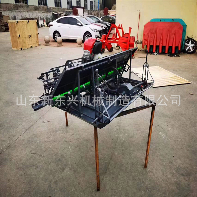 水稻田自走式插秧机 手推式育秧盘育秧水稻种植机 6行手扶步进式