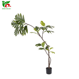 ����Gֲ���� ����� ��������辰�٘�@���쾰�Ƶ꾰�^�b٘�