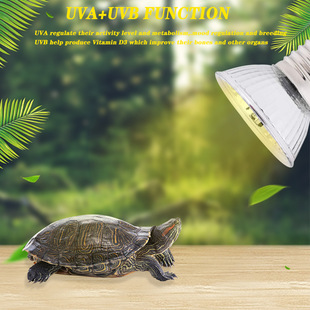 Yue XingWang turtle Sun backlight 1.6 halogen turtle lamp UVA/UVB lamp E27 lamp holder