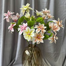 新款PU手感古典百香兰仿真花假花高仿单支香水4头小玉兰花仿真花