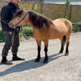 ���^�T�˰��_�R���� ��ͯ�T���R ��܇�R �^�p���հ��R���w����