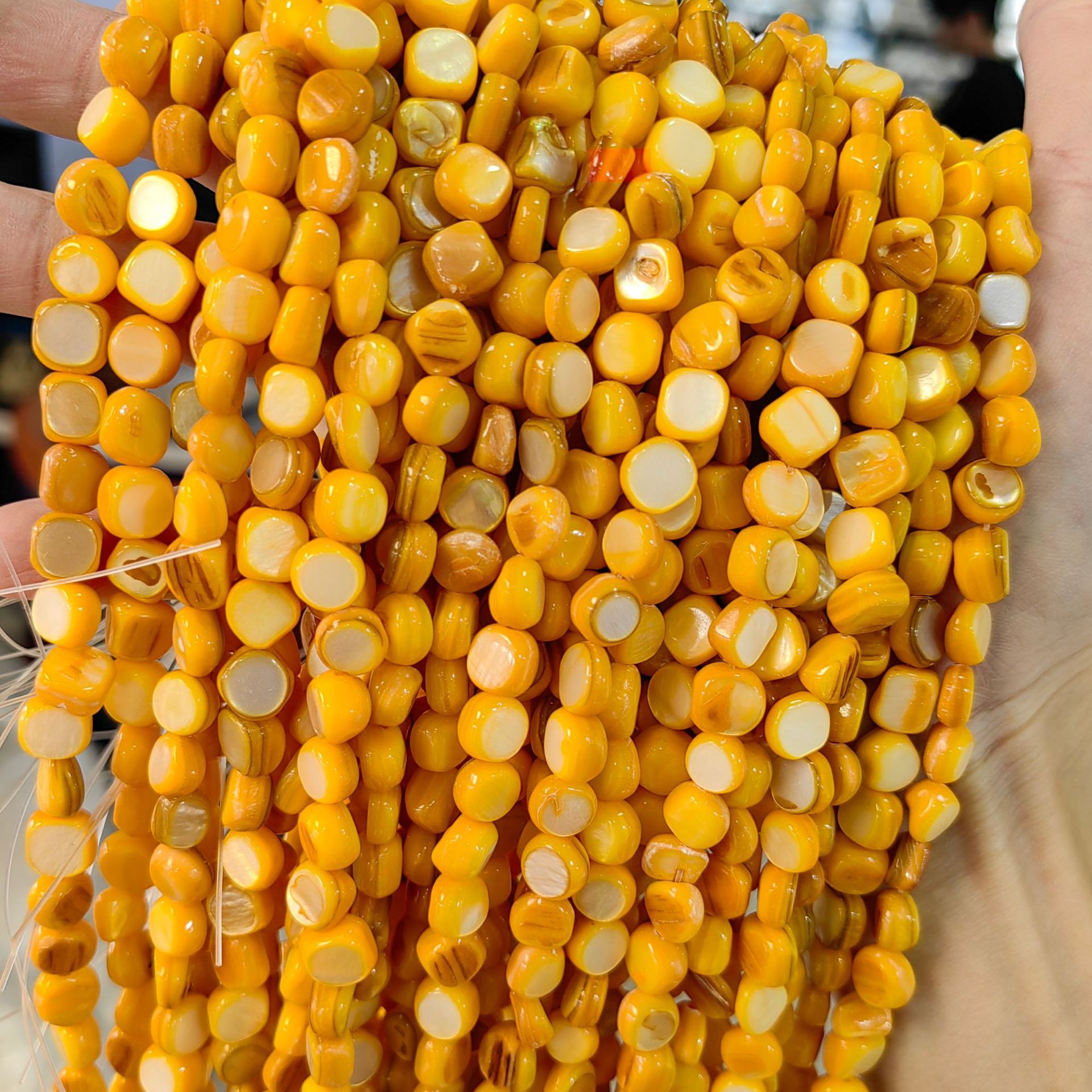 Conchas de cabeza de toro natural 8mm con cuadrados semiacabados perlas dispersas accesorios de joyería diy al por mayor