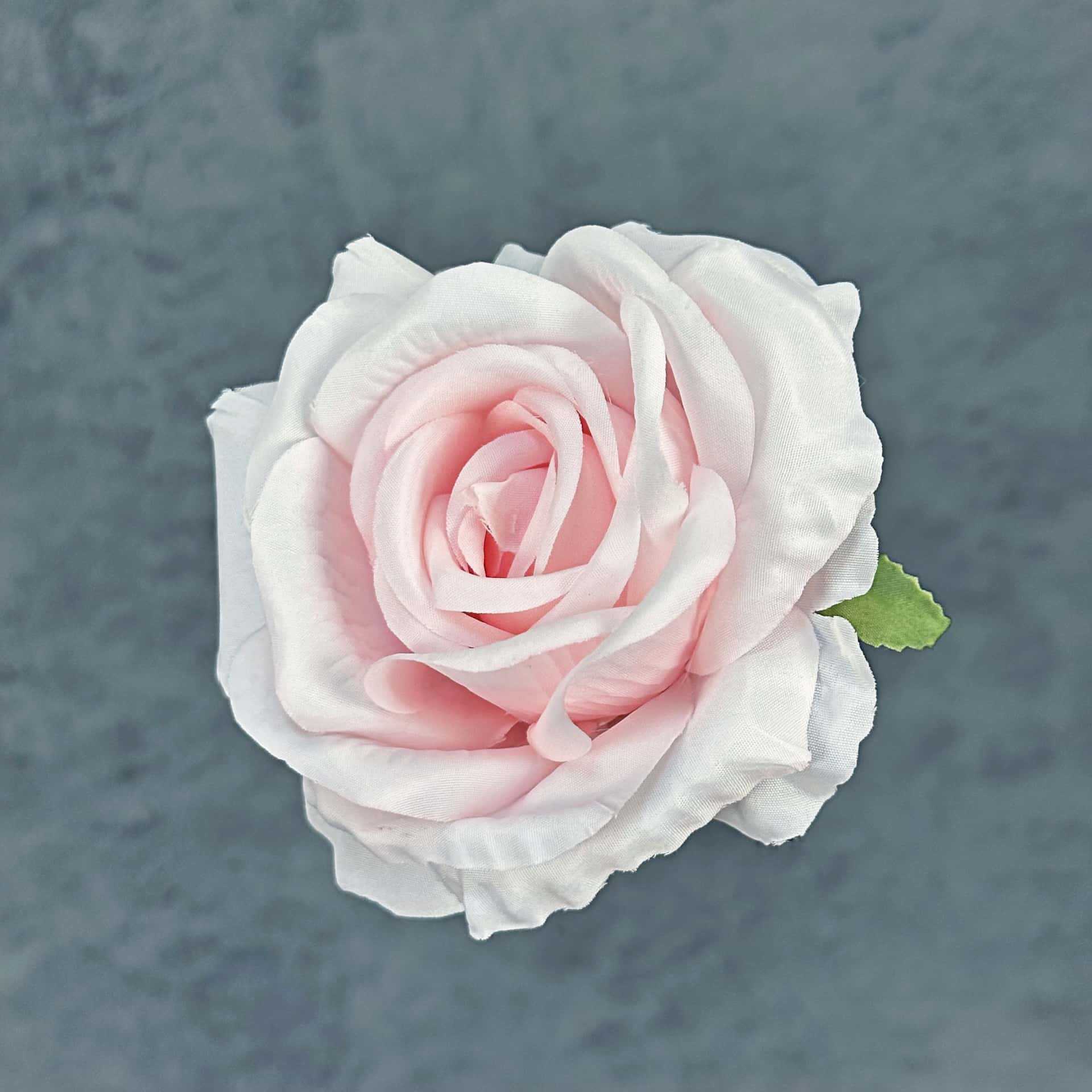 Franela artificial flor Rosa cabeza ramillete rojo boda flor pared tiro apoyos flor artificial arco flor artificial al por mayor