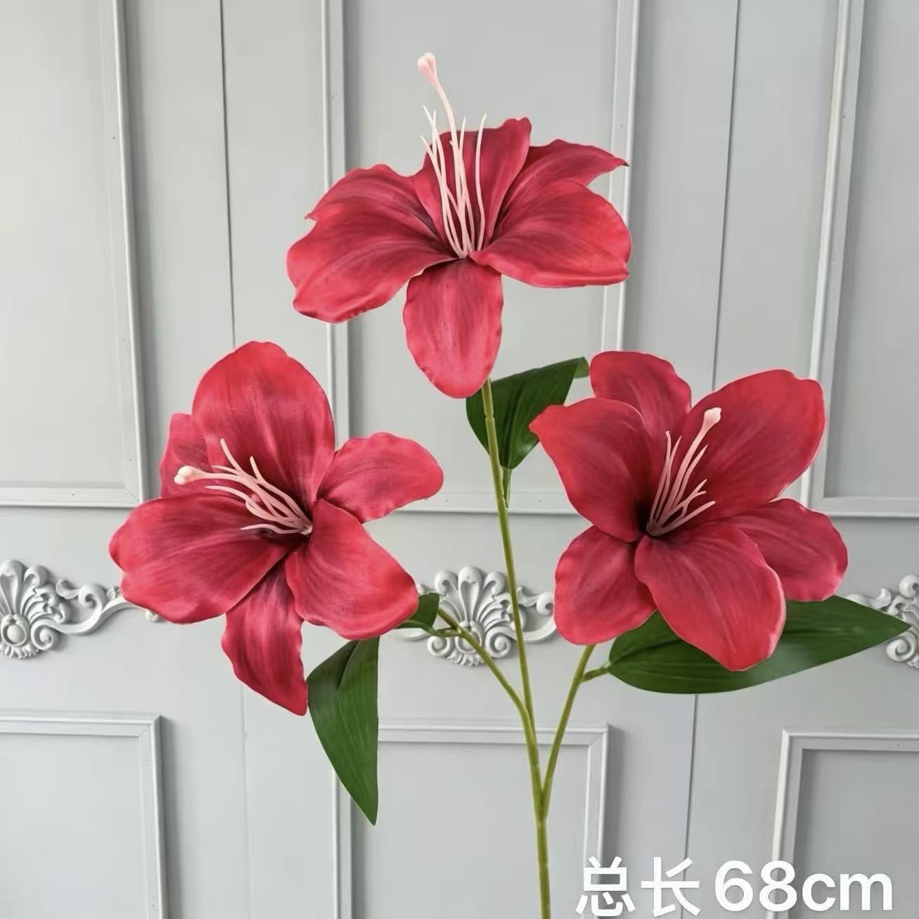 붉은 수선화 백합