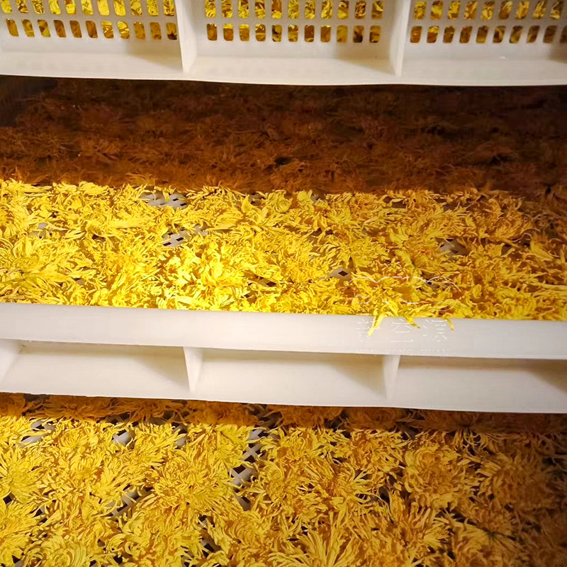 皇菊烘干机 丹莱空气能热泵菊花烘干房 花果茶烘干设备生产厂家