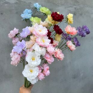 6�^����ĵ�����滨��ș����Y�ò����ٻ����T�����b廨�ֹ�diy