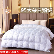 俄罗斯进口95白鹅绒冬被加厚保暖羽绒被五星级酒店春秋被被子被芯
