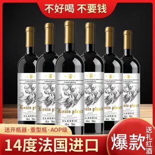 �����M�������RԊ14�ȸɼt���Ѿ� �Ɠp���r ��Ո�t�� ��H΢��