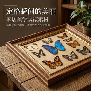 �挍�����˱����xչ�������m������c�Ҿ��b��I�Y��