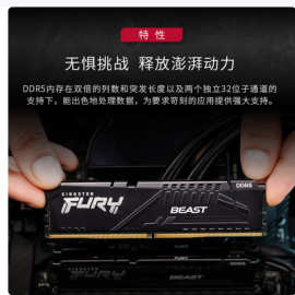 FURY台式机内存条 Beast野兽系  5600频 16G 野兽 电竞马甲条其他