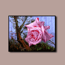 40*50�o��DIY�����ͮ����L�Tɫ�������L���p���ֹ���õ����L