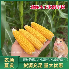 兔子主粮;鸟食;仓鼠零食