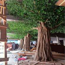 ������ˮ��������Ә��̈��W�t�쾰�G�Ř��y�Ә�t����