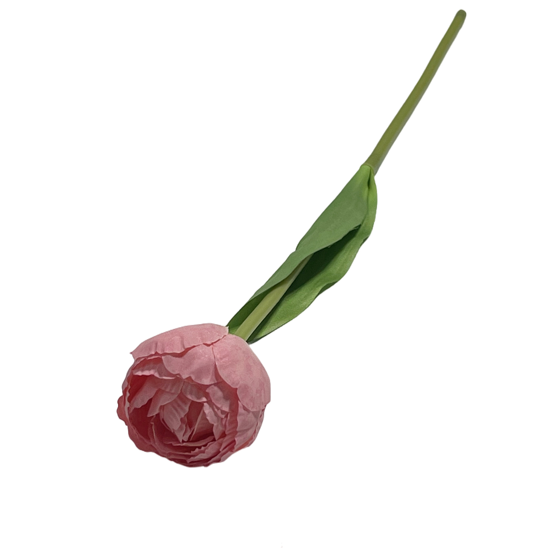 아이스크림 튤립 핑크 그라데이션