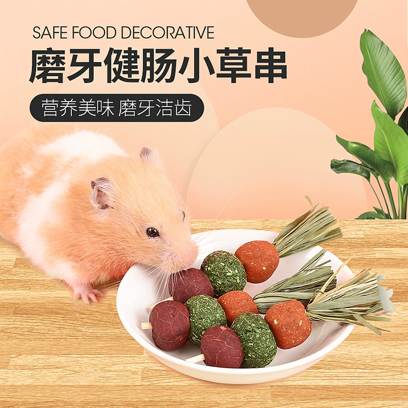 Белка Хомяк Золотой Медведь Морковь Кролик Молярный Камень Может Съесть Тимоти Трава Закуска Игрушка Особый Пейзаж