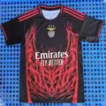 2526 benfica special edition