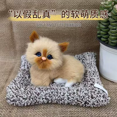 Aktiv kömürlü qoxu uducular: Spot Ornaments Birthday Gift Car - earthy-yellow-monkey-faced-little-crooked-cat-length-16cm-height-14cm