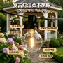 防水太阳能庭院热销灯串