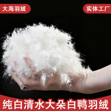 厂家供应纯白清水大朵白鸭羽绒羽绒天花板高蓬松国标羽绒被羽绒服