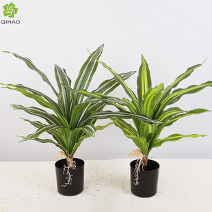 ���Ϸ�������F��С���� �����쾰��������F �Ҿ��b�ֲ���辰