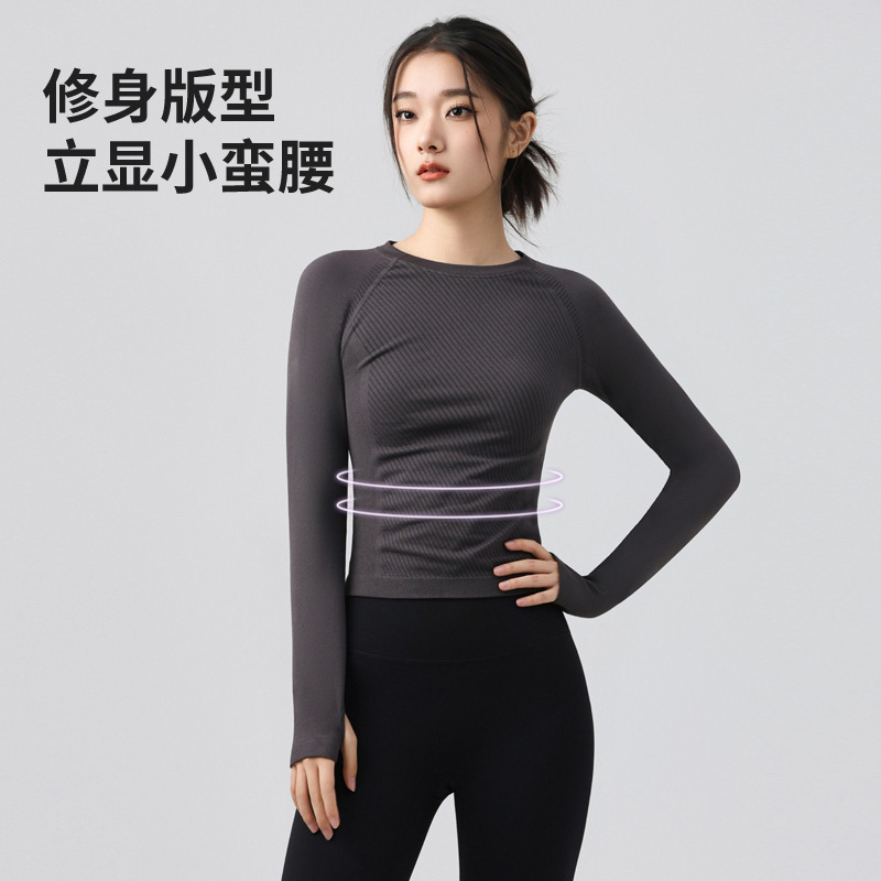 New Slim Yoga Wear Long-Sleeved Top Sports Elastic Breathable Fitness Yoga Running Round Neck Pilates T-Shirt