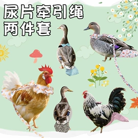 猫猫玩具;宠物帽子;其他小宠用品