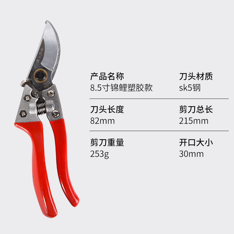 園林果枝ハサミsk5家庭用園芸園林省力修枝剪定花家庭用多機能摘果ハサミ|undefined