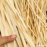 手工竹篾条黄蔑青篾竹片花艺竹片婚礼装饰竹编材料场景布置材料包