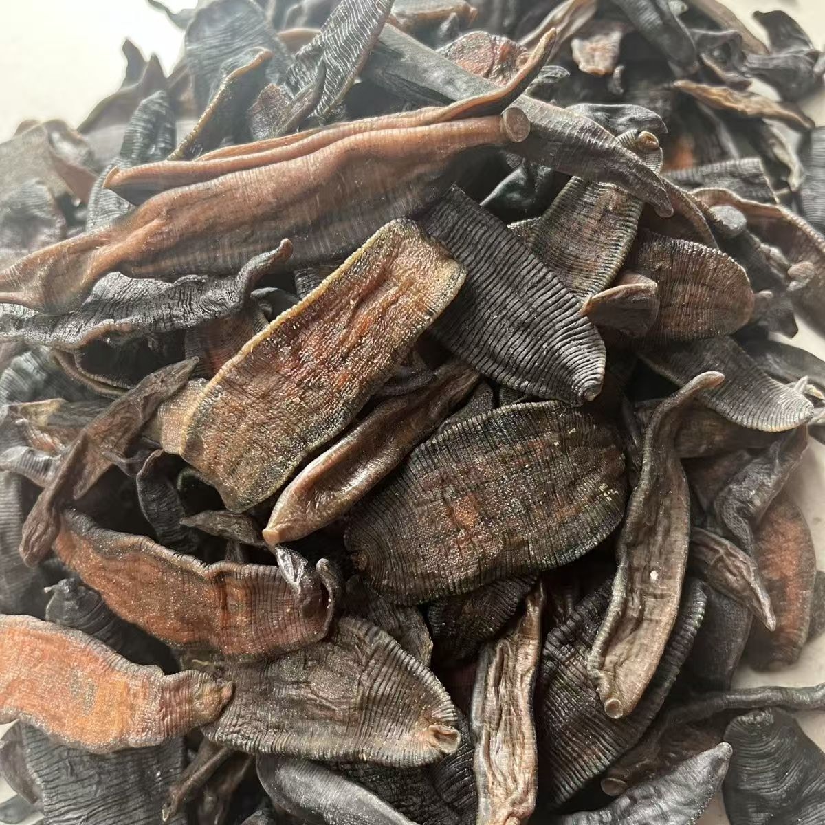 微信图片_20240901214859