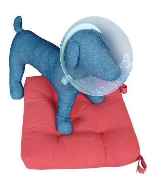 Элизабет Круг для домашних животных Кольцо против укусов и царапин Защитный чехол Кольцо для собак и кошек Стерилизационный ошейник Позорное кольцо