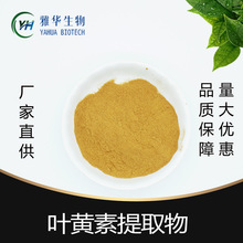 叶黄素提取物10:1 雅华生物  万寿菊粉 叶黄素 玉米黄质 植物萃取