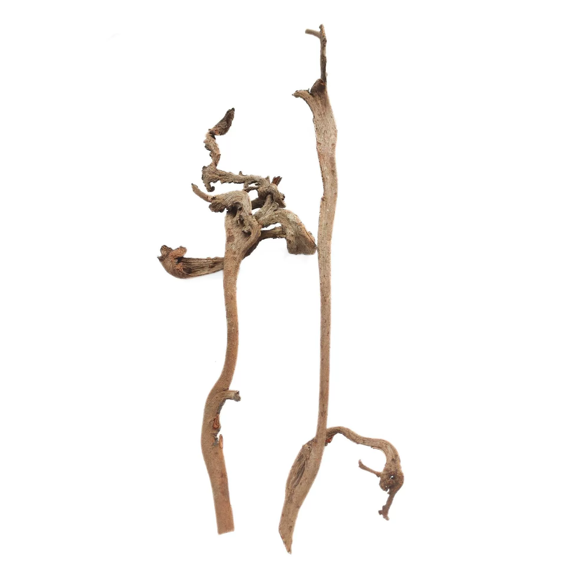 Настроить | Импортированные ветки естественной формы, ландшафтный дизайн, цветочная композиция, чайное искусство, изогнутые ветви, художественные креативные украшения в лесном стиле.