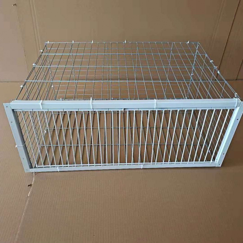 鸽子撞门笼 自动撞门笼活络门帘子门信鸽进笼口进门自动门鸽子笼|undefined