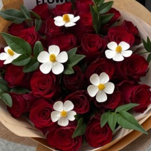 ?tõrֱlõ廨ˮBrлֱlò