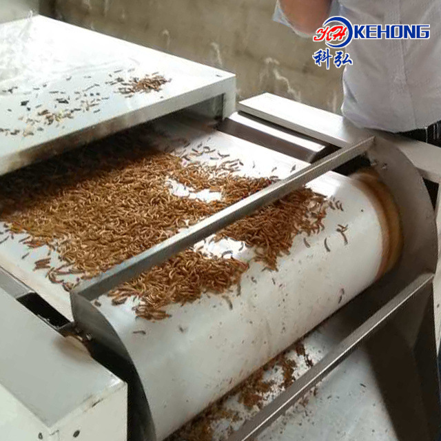 微波鸡肉 猪肉 牛肉浸膏 干燥设备