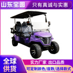 外贸货源4-6座电动四轮高尔夫球车酒店民宿接待车景区旅游观光车