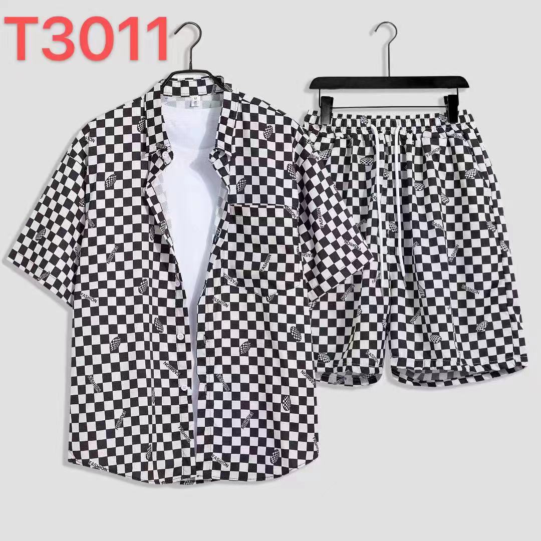 T3011黑