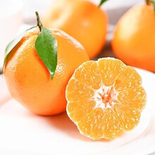 ��Ʒ�N�ش����θ�����޽Ӵ�Ҋ���Ә������Ե����ϱ����Nֲ������