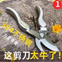 日本輸入剪定枝ハサミ剪定ステンレス園芸草花ブドウ果樹摘果植物剪定