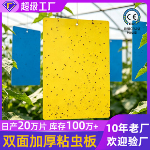 �Sɫճ�x���p��Ӻ��r�I�����@�����S�{��С�w�x��ω�T�x�����l