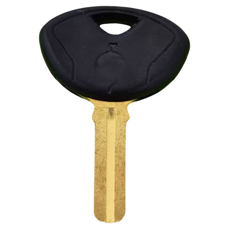 Bmw Motorcycle Key F800Gs R1200Gs Adv Oil Bird Water Bird F800Gt S1000Xr Key