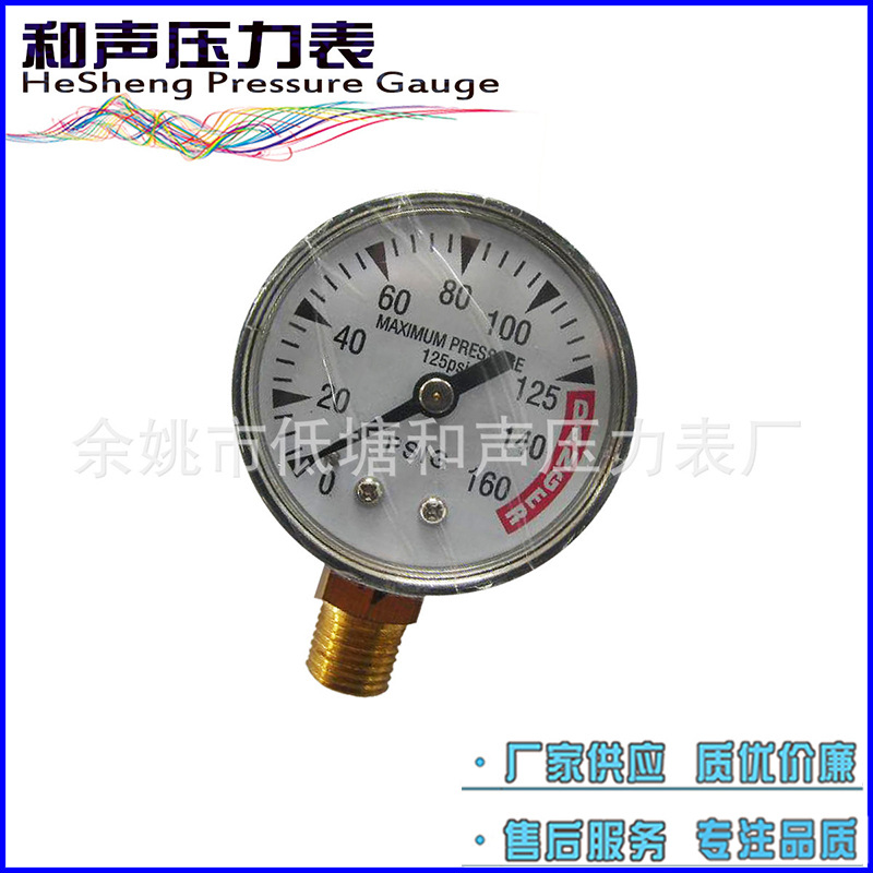 ����������ѹ��ˮѹ��Y50����21BAR��ͨѹ������������ѹ����