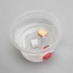 Science Small Craft Handmade DIY Floating and Sinking Physics Experiment for Primary and Middle School Students Brain-Teasing Fun Toy STEM