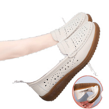 ţܛ׋ЬЬƤЬļUŮЬЬ