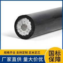 JKLGYJ-Q 1*185/40  1*185/10  1*240/40 1*240/55ƽ���о�X�g��