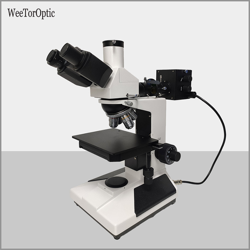 供应BM-200生物显微镜 生物学医疗教学科研医疗显微镜