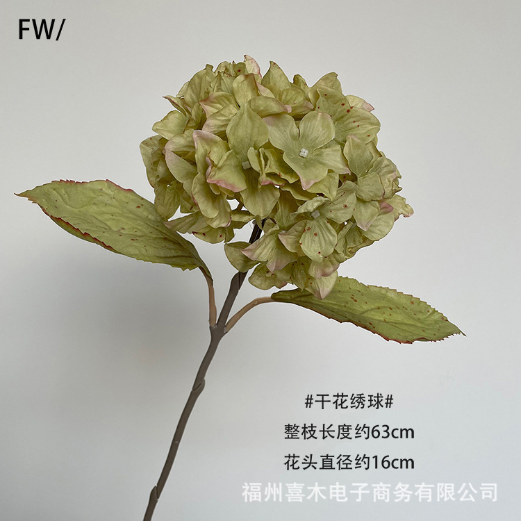 photo-output_4 9副本.jpg