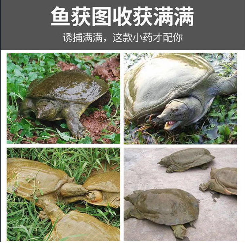 Señuelo de pesca de Shu, señuelo de pesca de caparazones, señuelo de peces, señuelo de peces