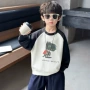 儿童宝宝拼色新款卫衣